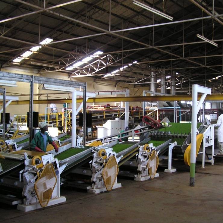 Tee Produktion - Verarbeitung - CTC